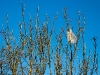 uomo-natura-004