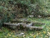 uomo-natura-041