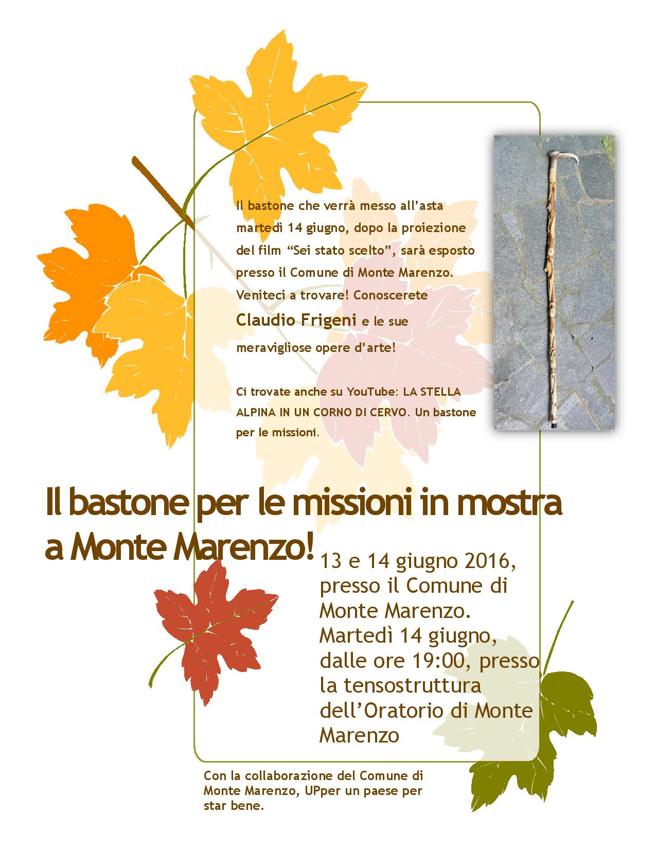 Il bastone per le missioni in mostra a Monte Marenzo-page-001